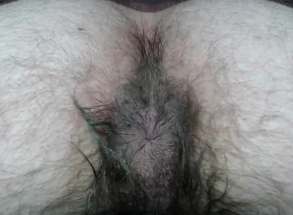Cock Balls and Hairy Ass of Farts