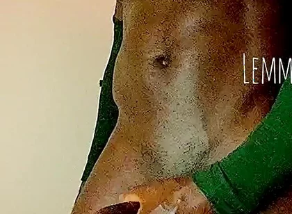 Buffy Guy Released Load of Cum