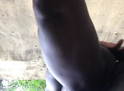 Hot Doggy