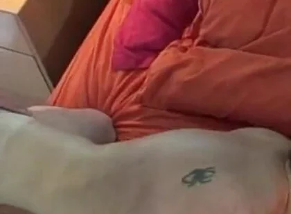 Rokko & Jony Fucks Sebaxxx