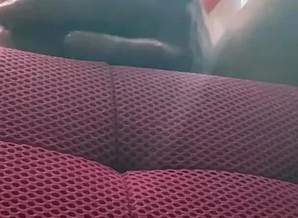 Camera Facing up From Floor See Head of 10 in Bwc Veiny