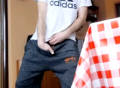 Compilation of Random Videos I Selected