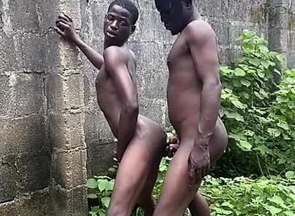 Bush Fucking Section