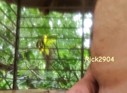 Playing with My Dick