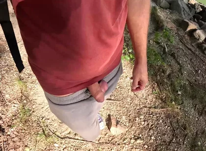 Surprise in the Foliage