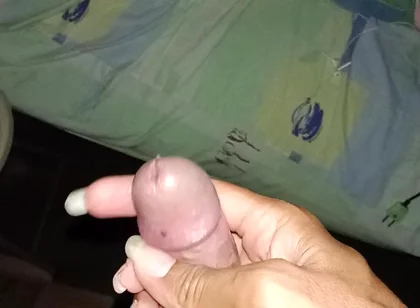 My Cock My Stufftoy