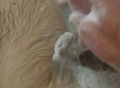 Bathroom Fun