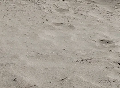 On the Beach Nude
