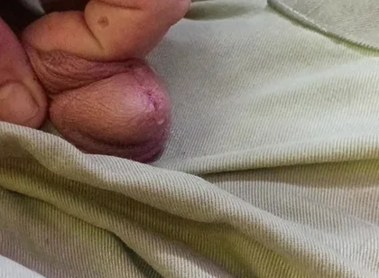 Piss Pig Fag Boy
