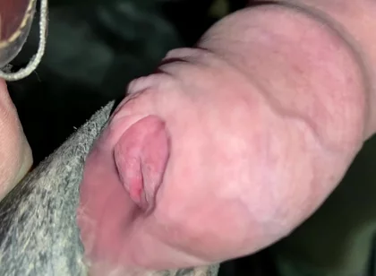 Close up Uncut Handsfree Cumshot After Hose Suction