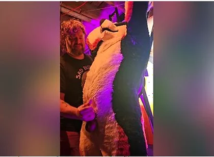 Blindfolded Canine Edged By Stepdaddy Bear Until He
