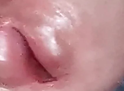 The Dick Growls at Its Owner