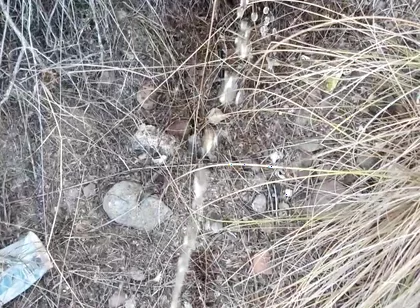 Risky Piss, I Had to Urinate in a Field Behind Some Flats Because My Cock Needed to Pee.