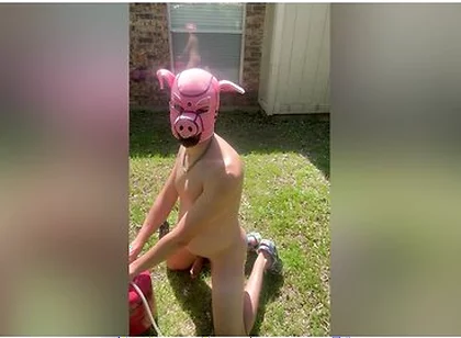 Pig Blown Up By Helium - Belly Inflation