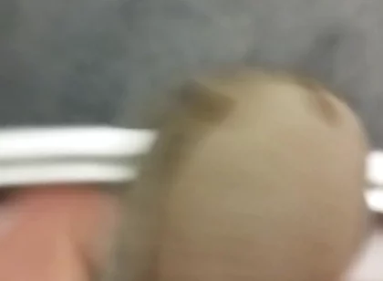 I'm Cumming in My Neighbor's Panties