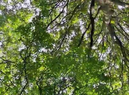 Slutboyben Cam4 Sexy Cruising Chick Iii Live Outdoor Exposure