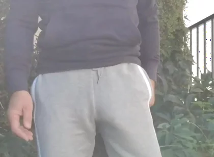 Bulge