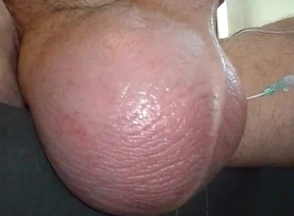 My Plump Juicy Watermelon Getting a Feeding