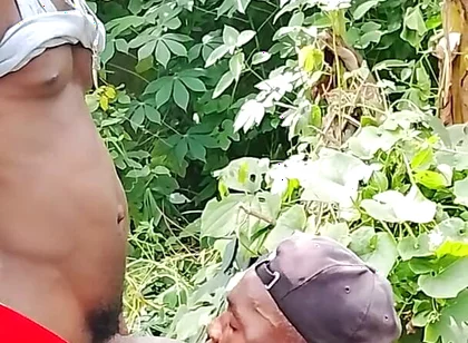 Big Cock Sucker