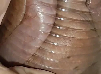 Daddy Extreme Pressure on the Caged, Wounded Cock.