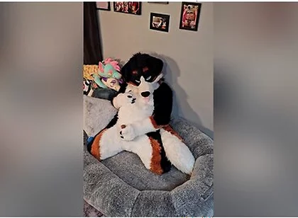 Angrybarks From The Vets Office Teaches Your How To Milk Your Puppy Boyfriend