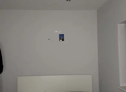 Cock and Ass