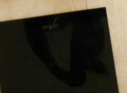Weighing Your Black Fit Pony