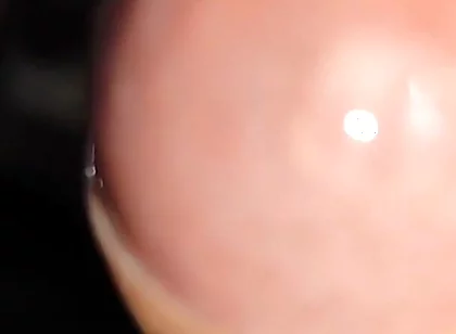 Waking up Excited and with My Cock Soaked in Precum.