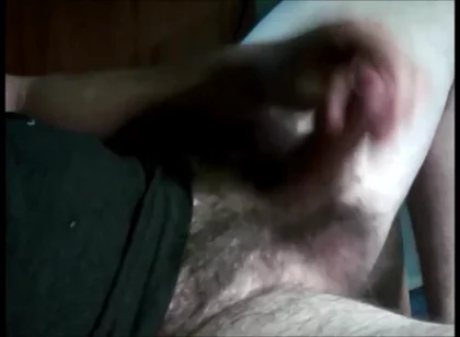 daddy pig