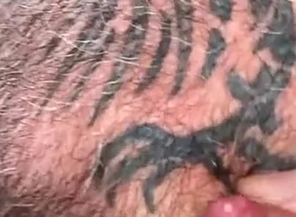 Tit Milk