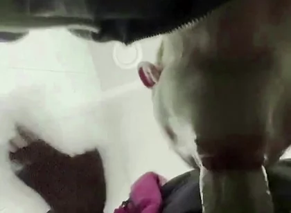 The Teacher's Thick Sucks in a Public Toilet. Slaps for a Student