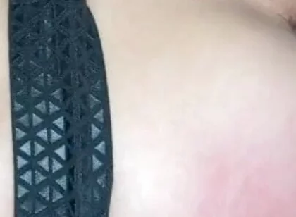 Lagarto used raw by Alexis Clark